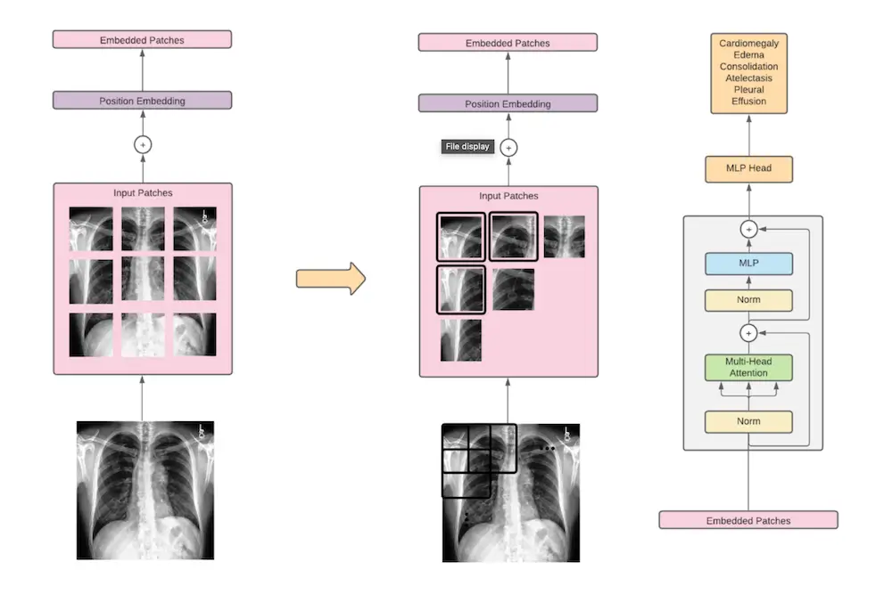 Medical transformer architecture